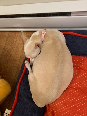 Peach's growing belly